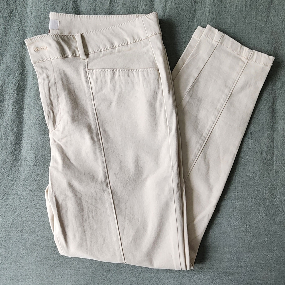 Loft Outlet Skinny Ankle Pants